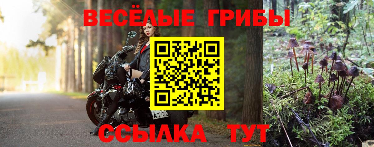 Псилоцибиновые грибы Magic Shrooms  Вход с VPN  Владивосток 